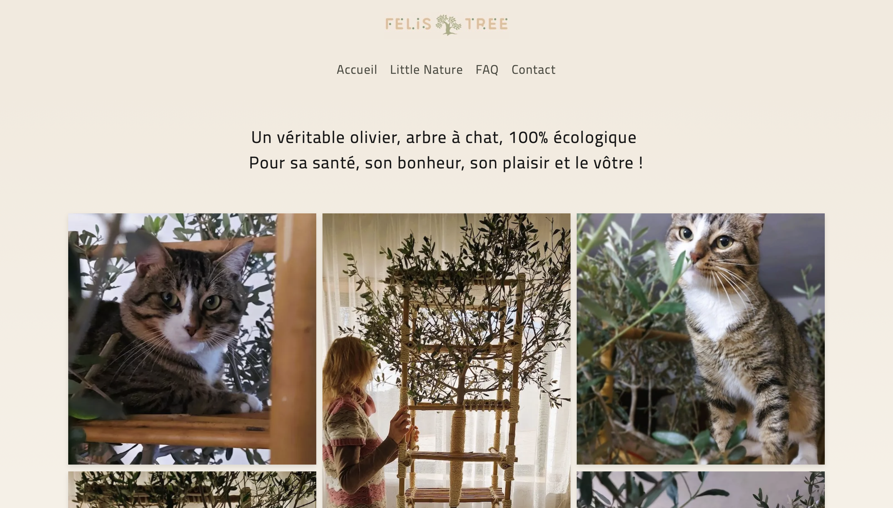 Felis Tree
